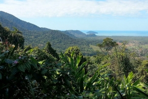 Daintree National Park